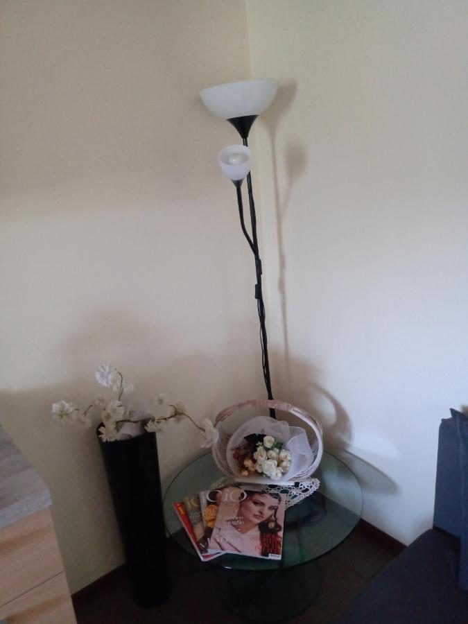 Oxy Apartment *